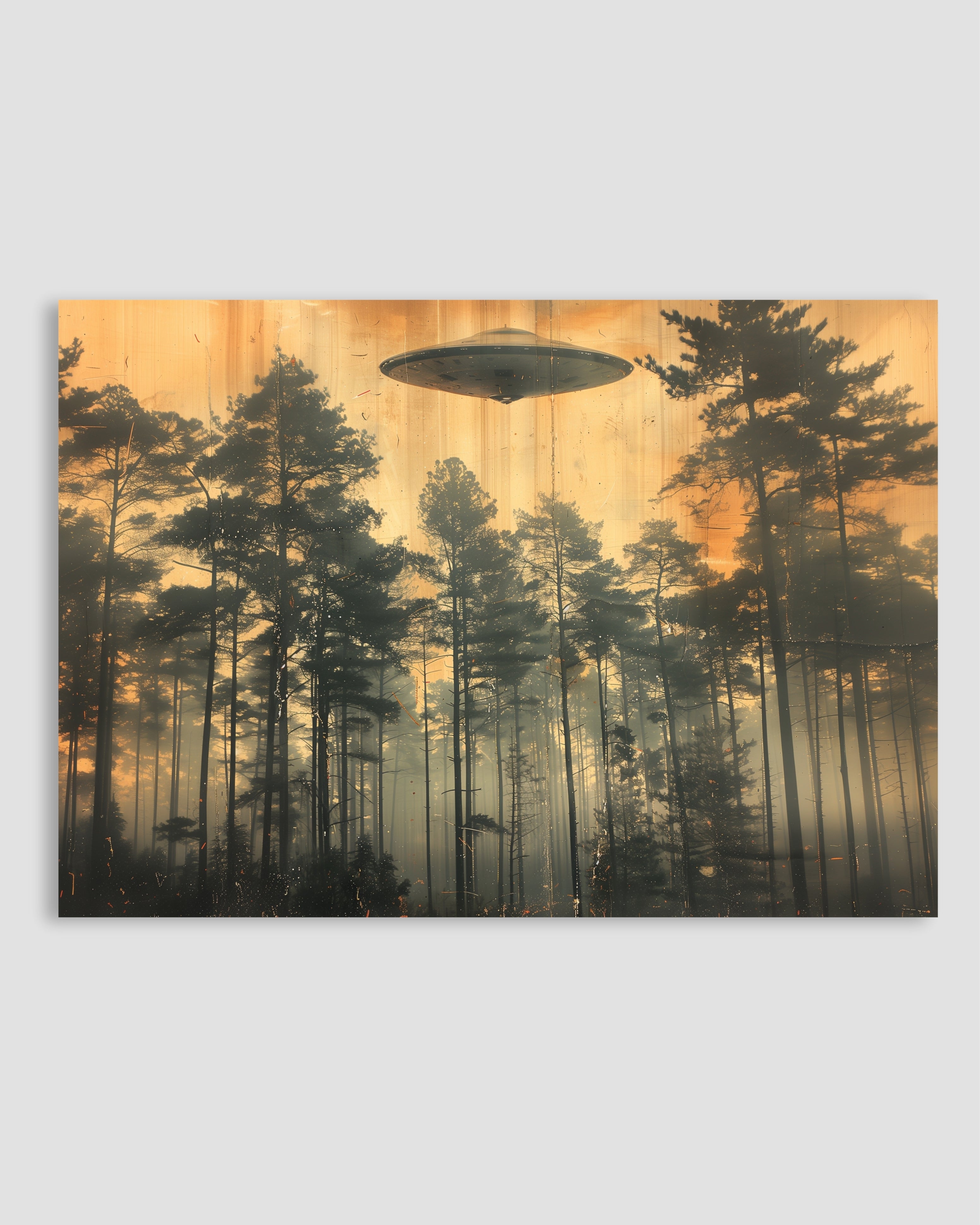 Ormanda Bir Işık Poster