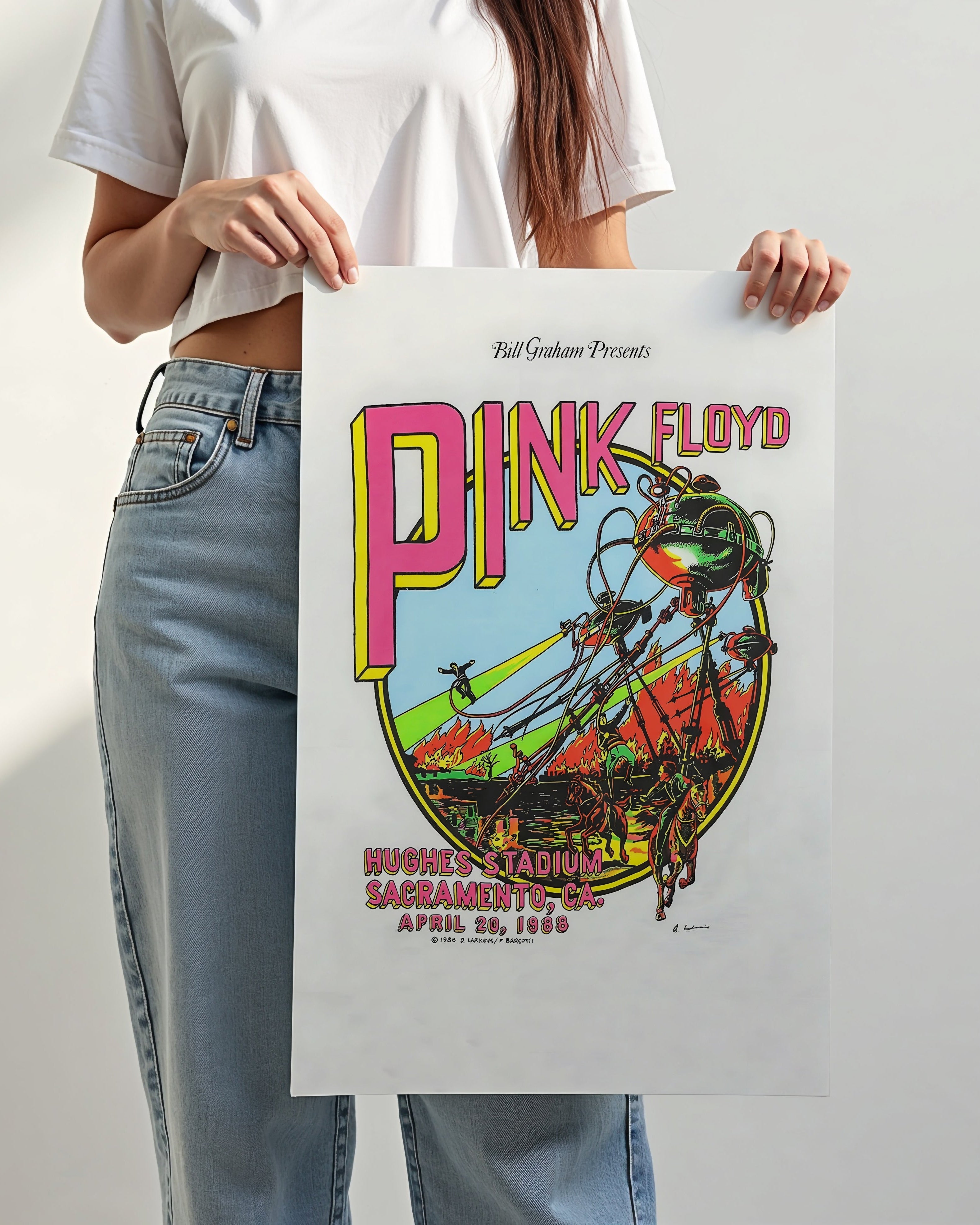 Pink Floyd Poster