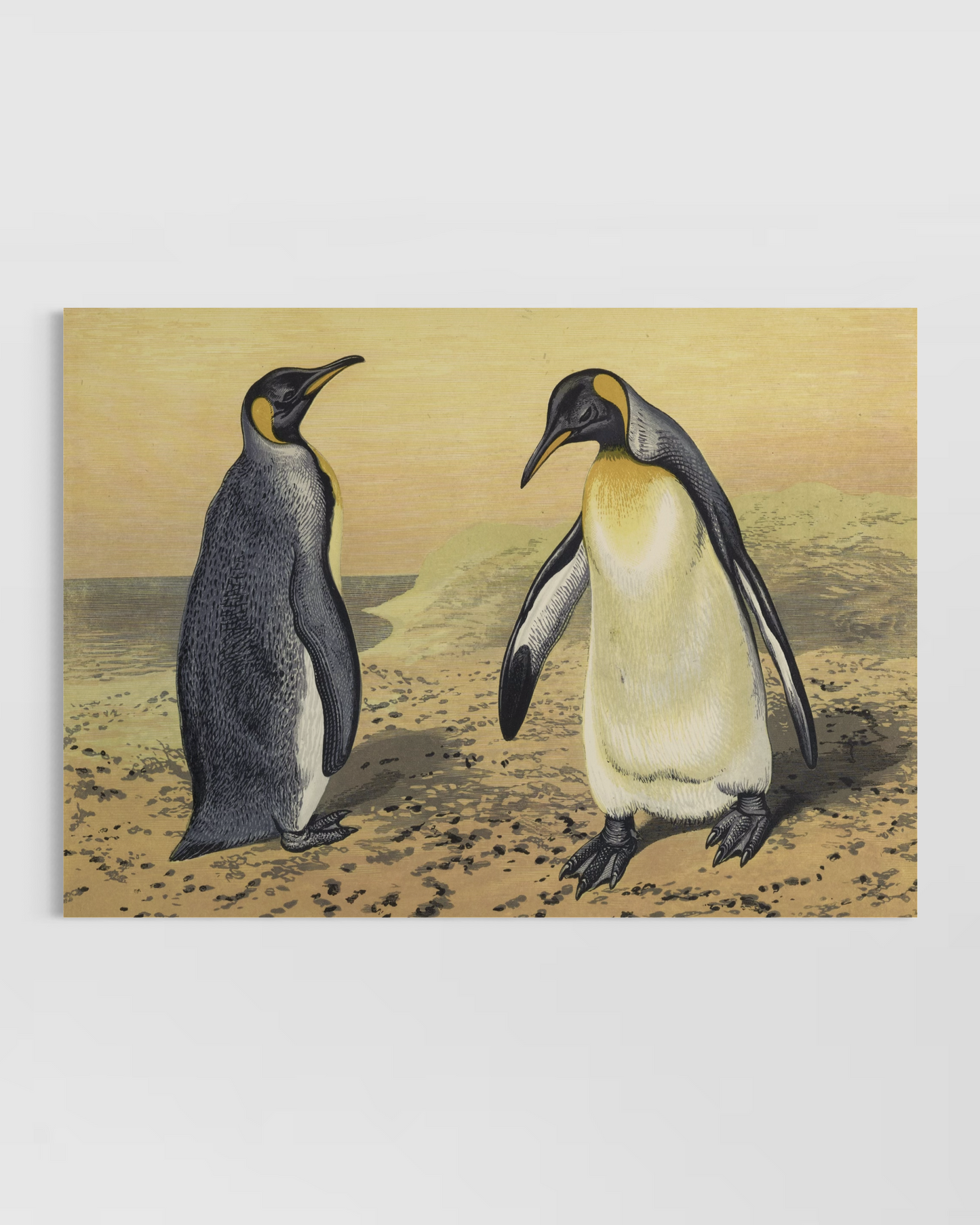 Penguens Poster