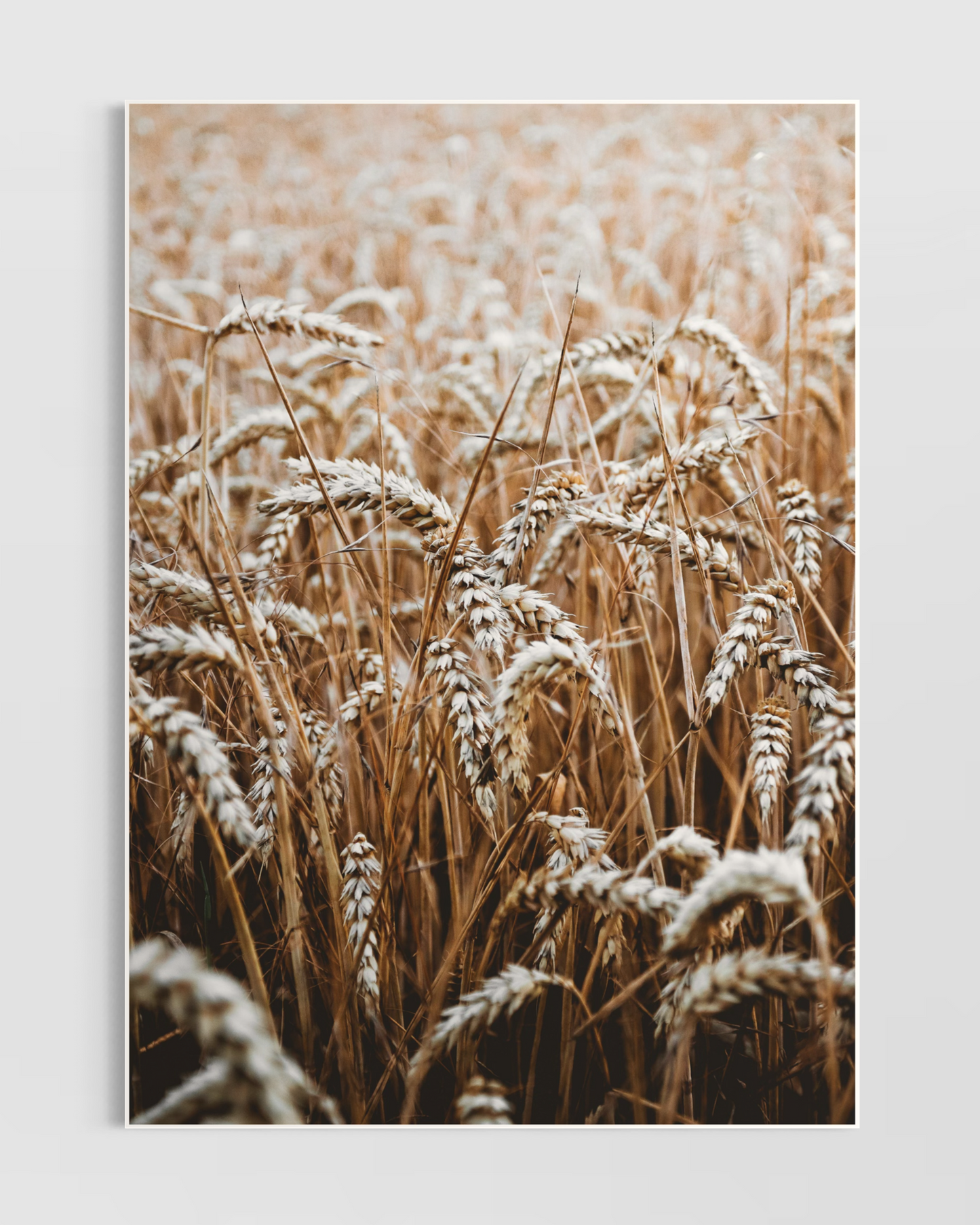 Rustic Farmhouse No.6 Poster