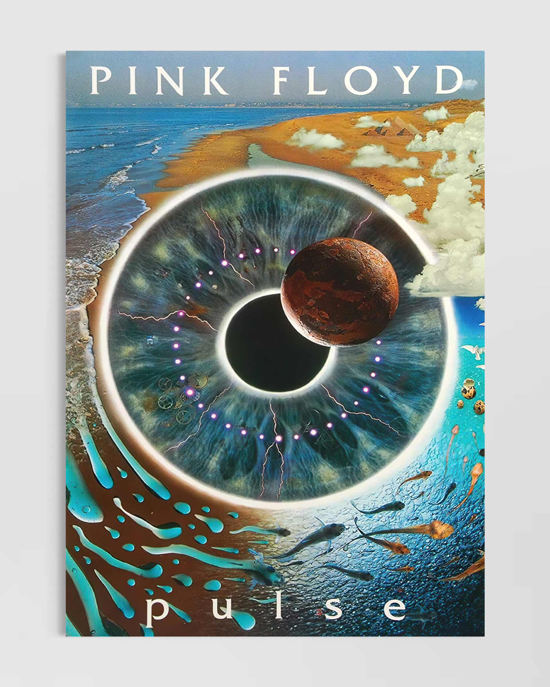 Pink Floyd Poster