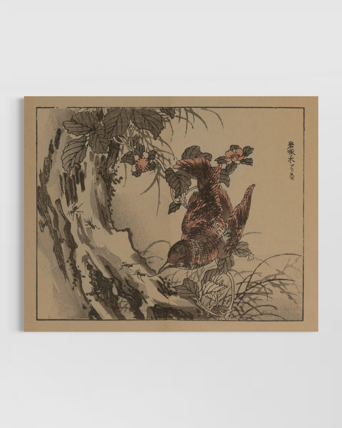 Botanical Poster