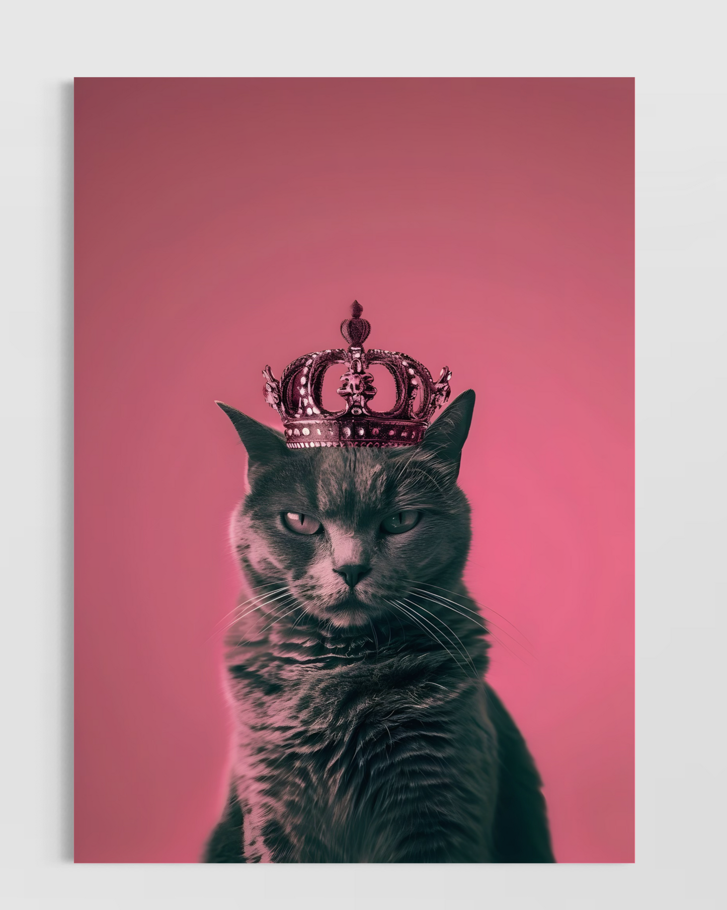 The Cat No.12 Poster