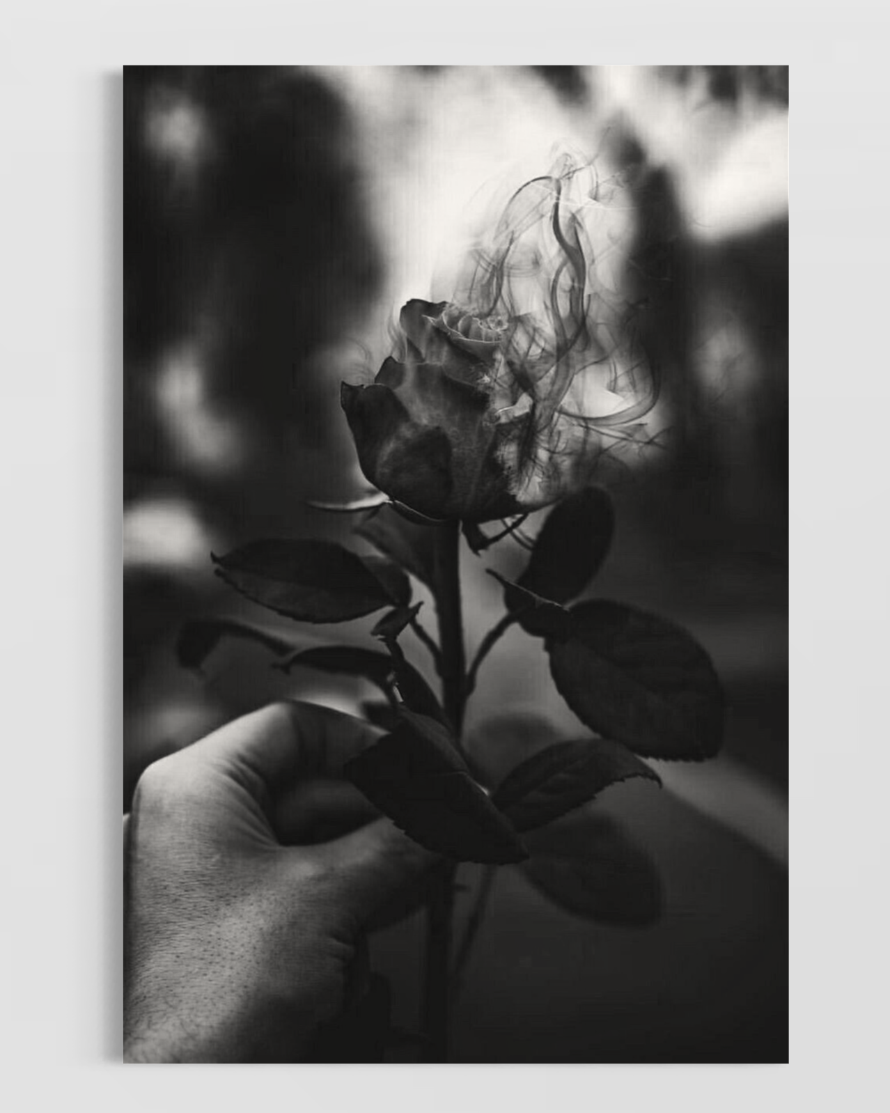 Moda & Lifestyle No.26 Poster