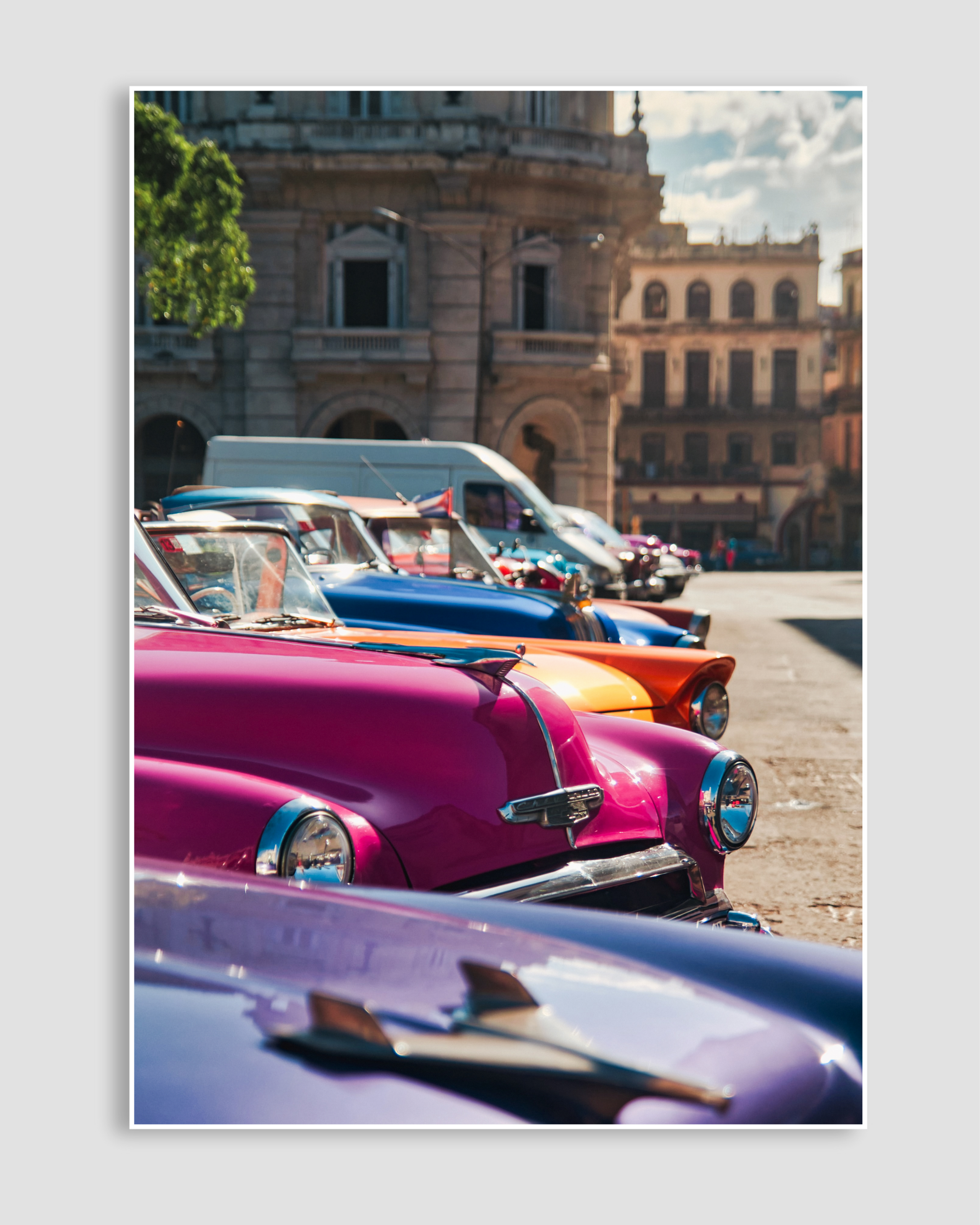 Vintage Cars Poster