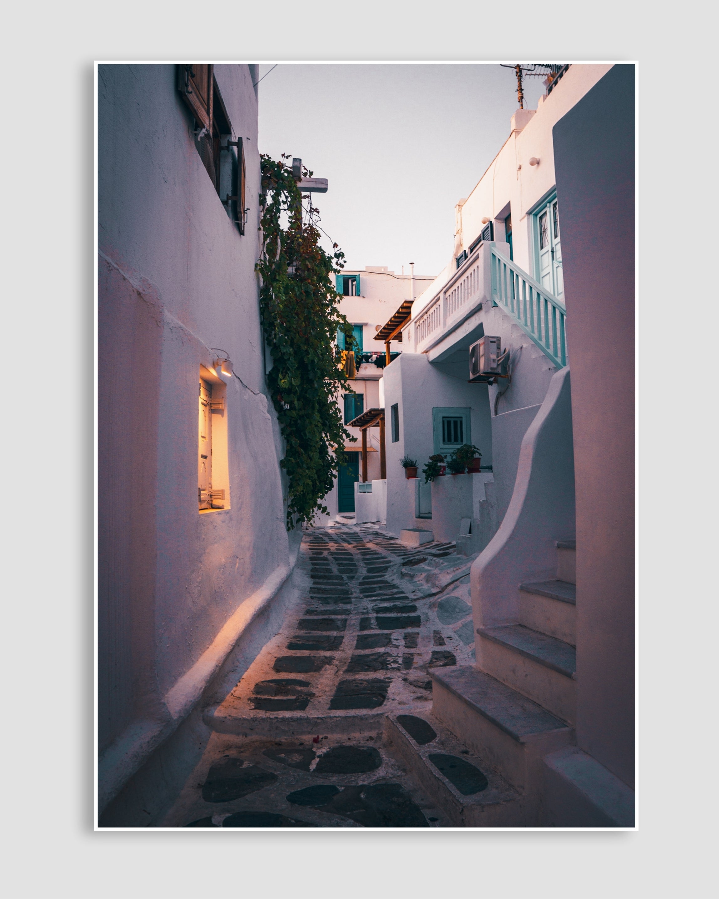 White Houses Poster