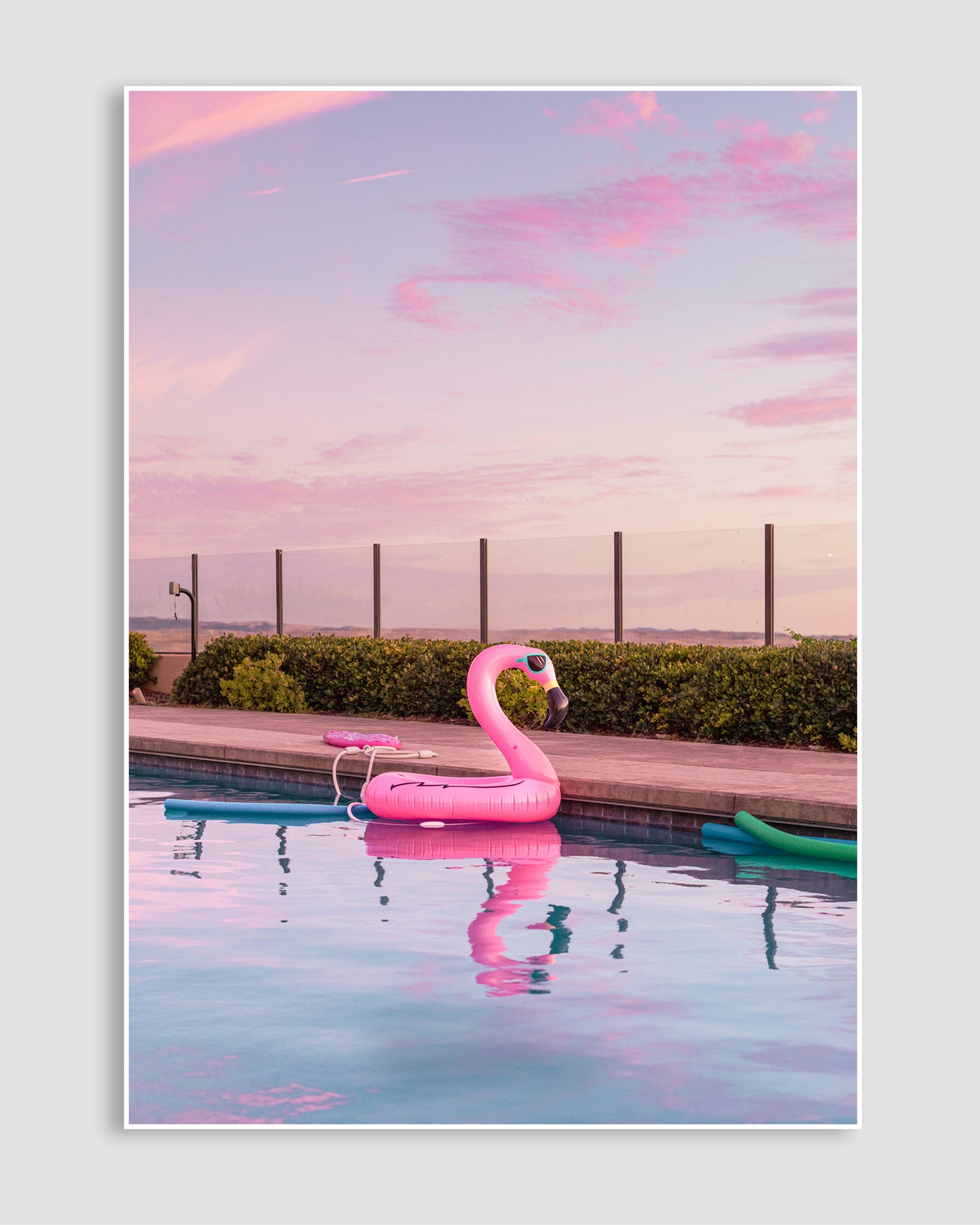 Flamingo Poster