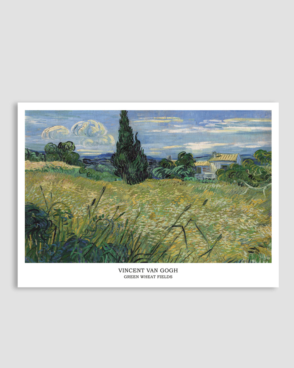 Van Gogh Green Wheat Fields Poster