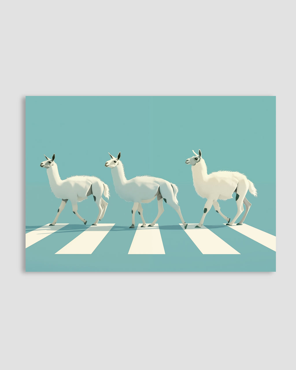 Llamas Poster