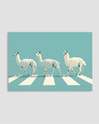 Llamas Poster