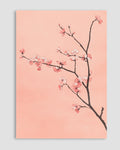 Sakura Fısıltısı Poster