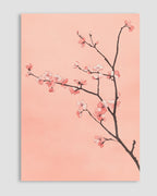 Sakura Fısıltısı Poster