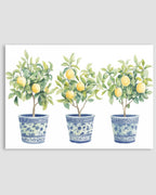 Limon Ağaçları Poster