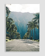 Island Dream Poster
