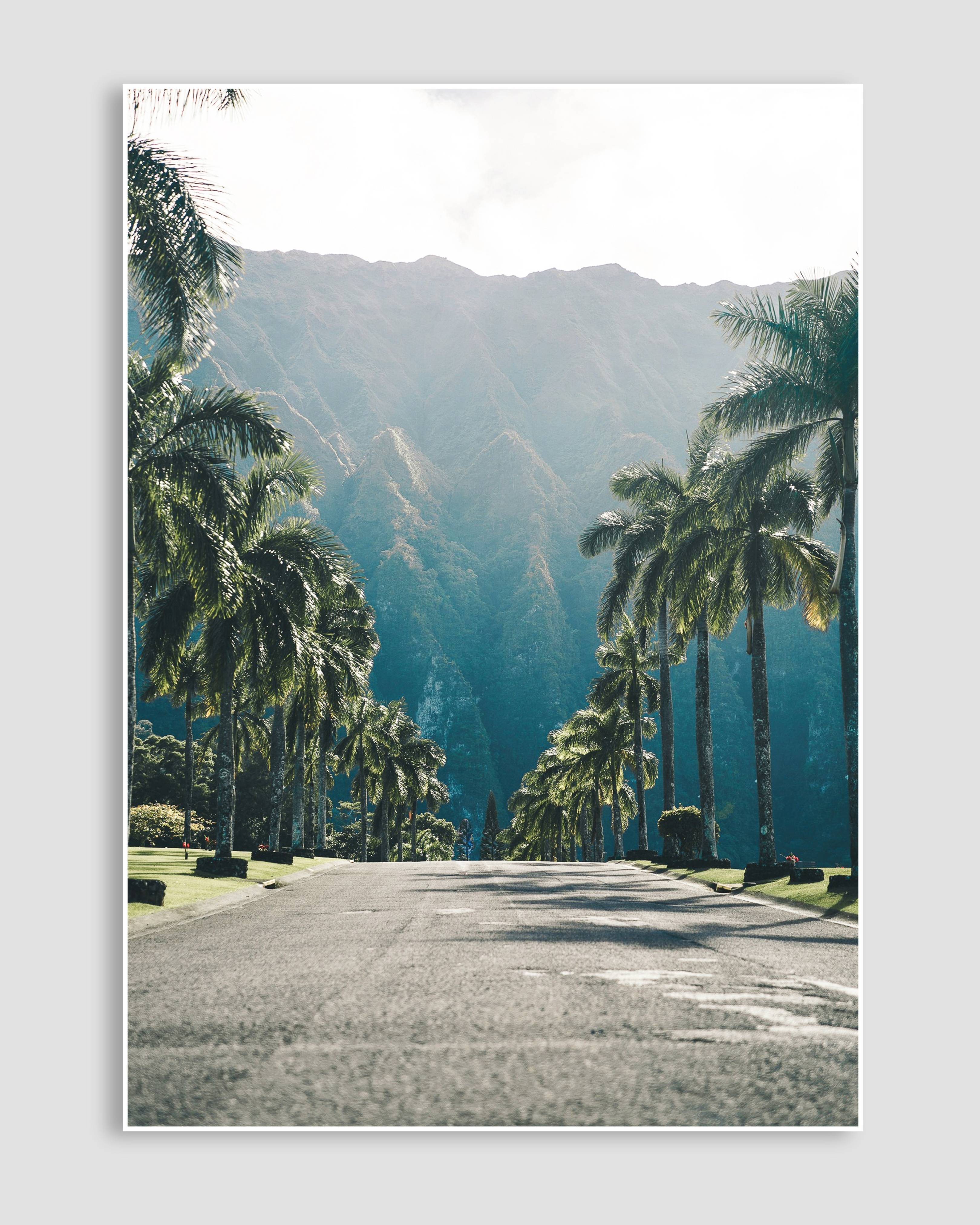 Island Dream Poster
