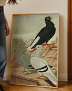 Birds Poster