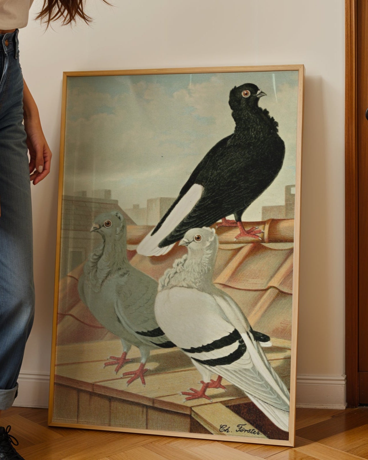 Birds Poster