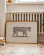 The Tiger Poster