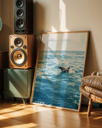 Dolphin Poster