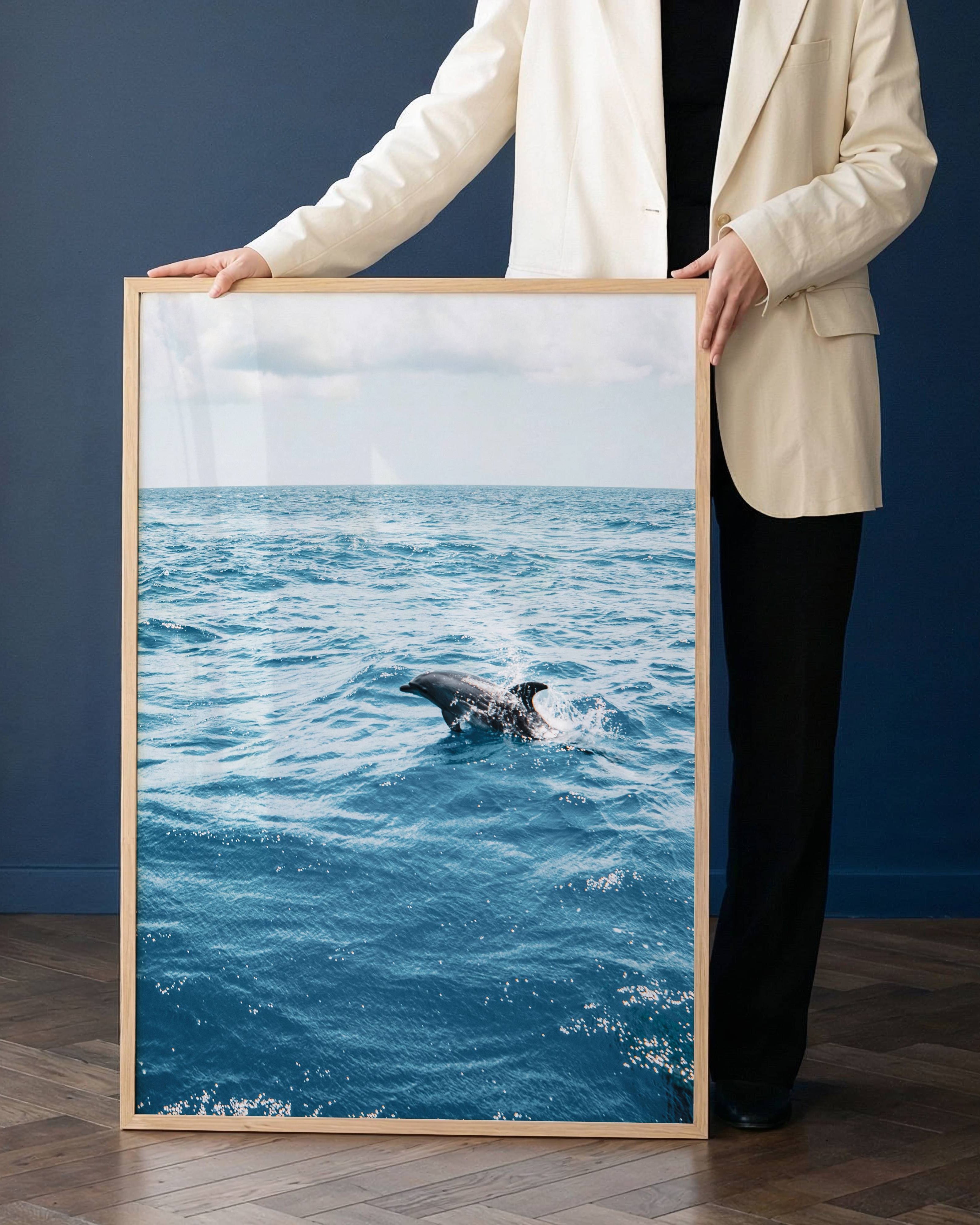 Dolphin Poster