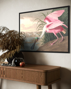 Flamingo Poster