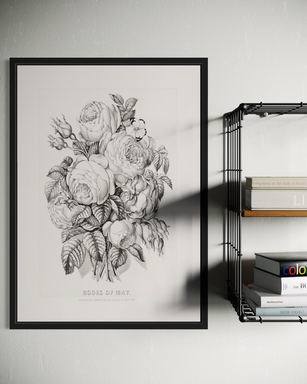 Roses of May Poster