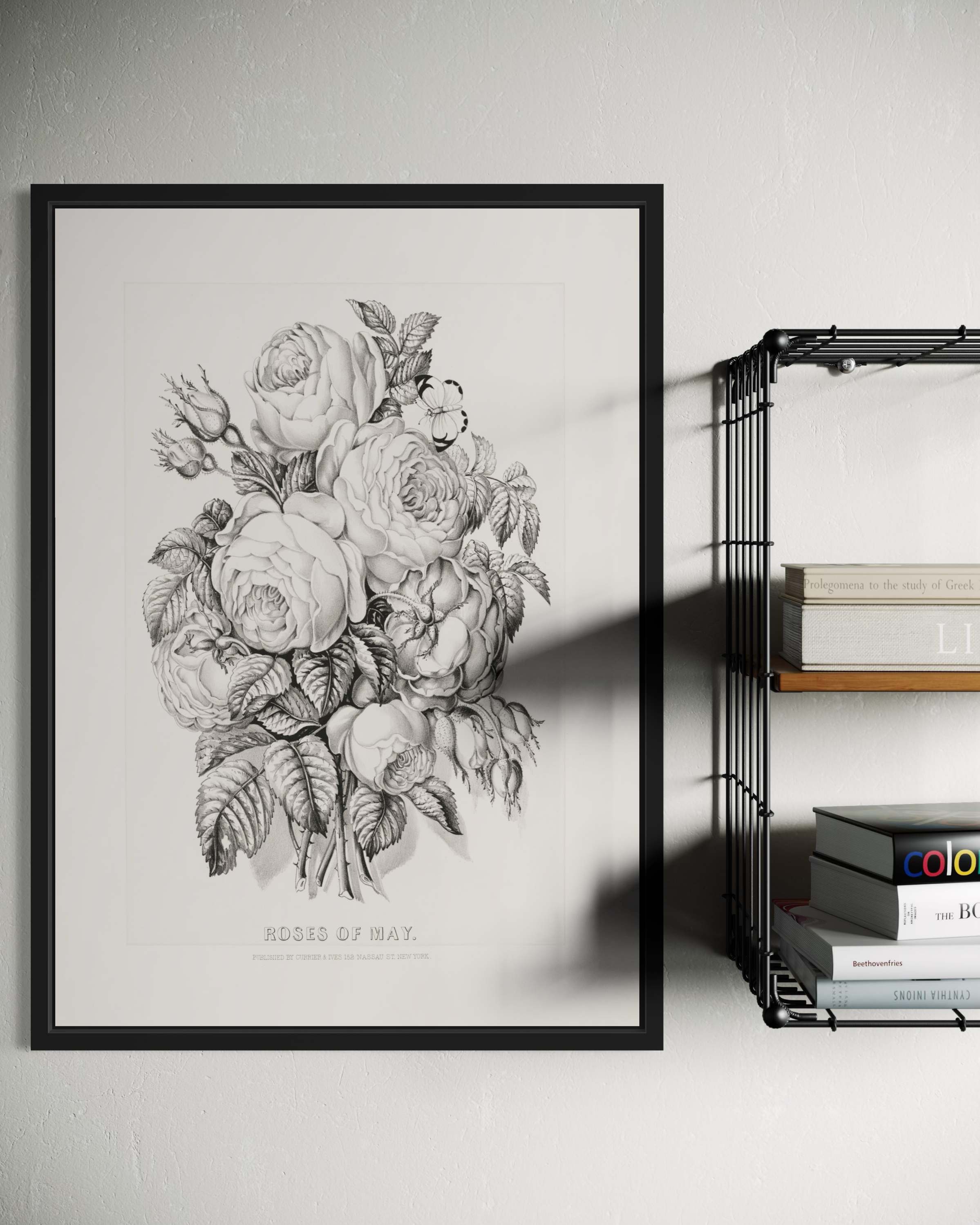 Roses of May Poster