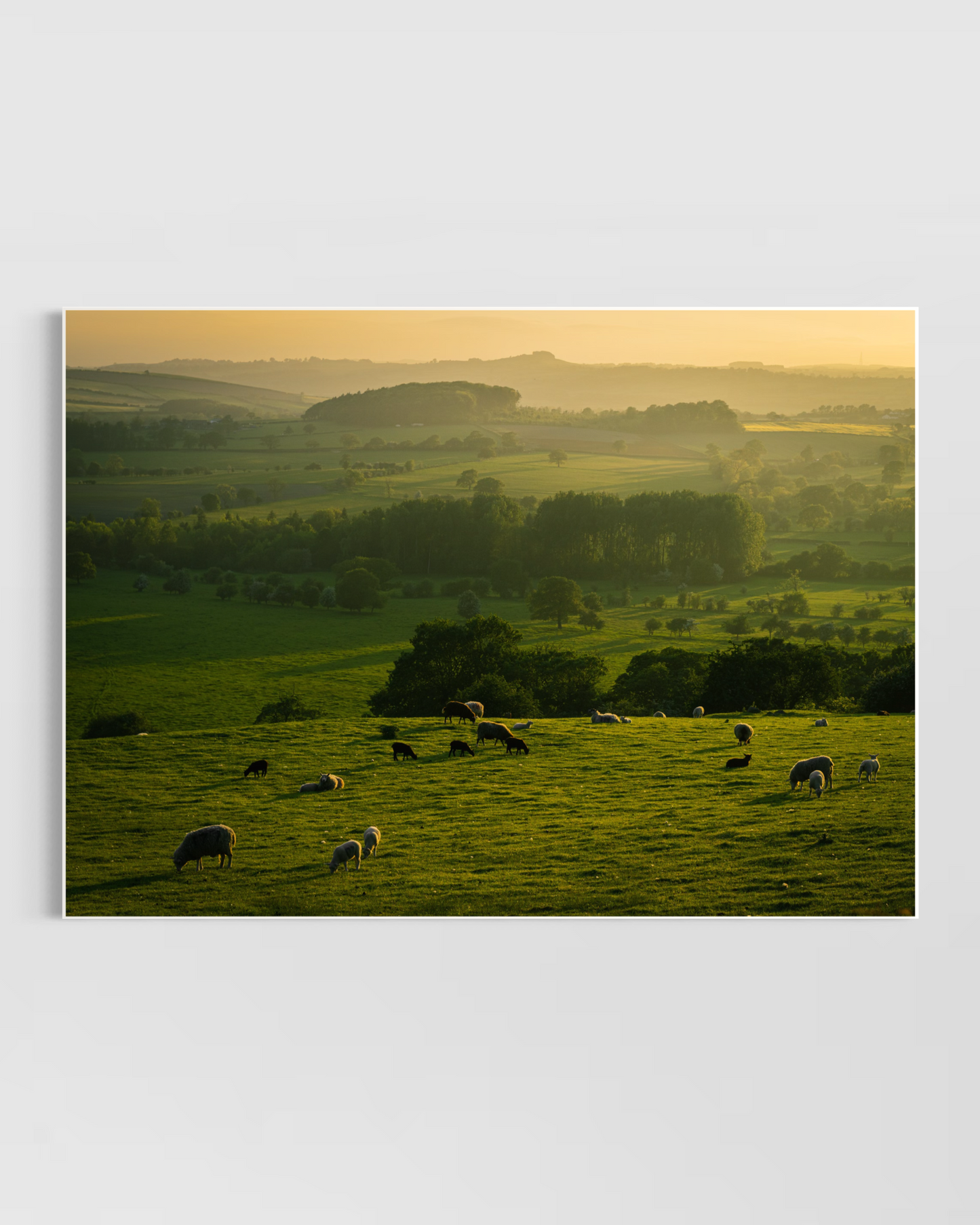 Rustic Farmhouse No.12 Poster