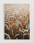 Rustic Farmhouse No.6 Poster