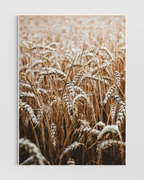 Rustic Farmhouse No.6 Poster