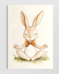 Meditasyon Tavşanı Poster