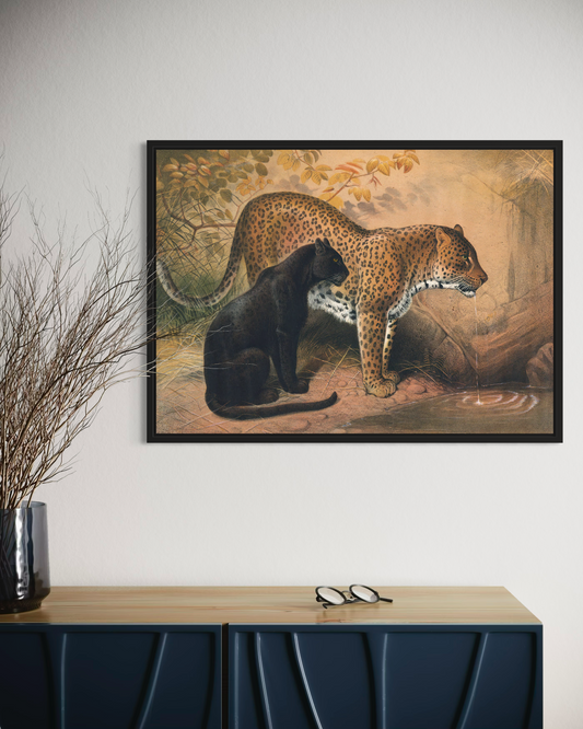 Leopard & Jaguar Poster