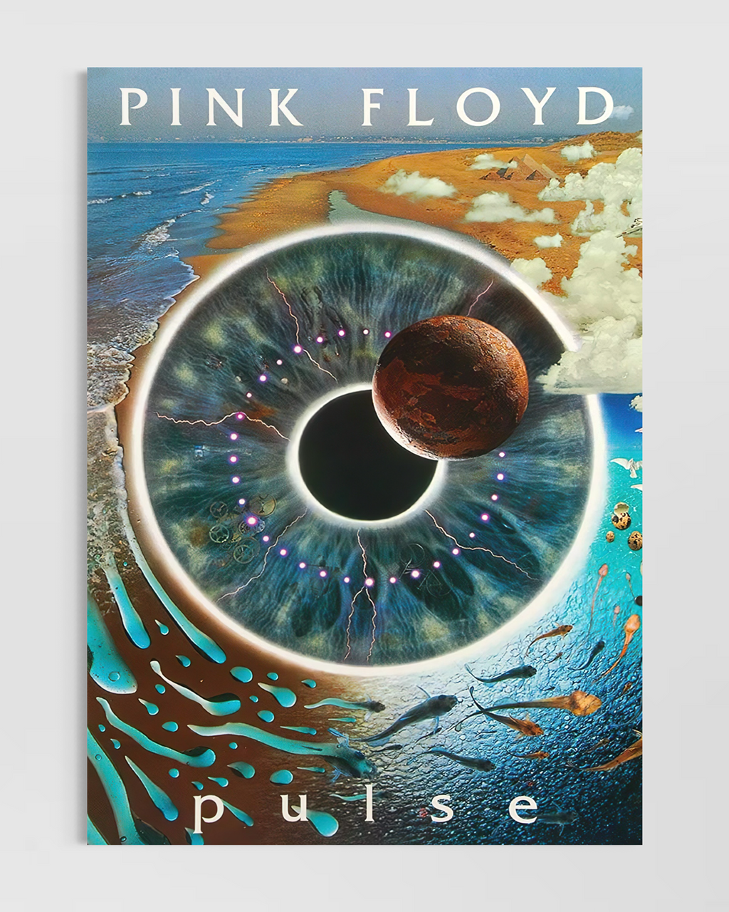 Pink Floyd Poster