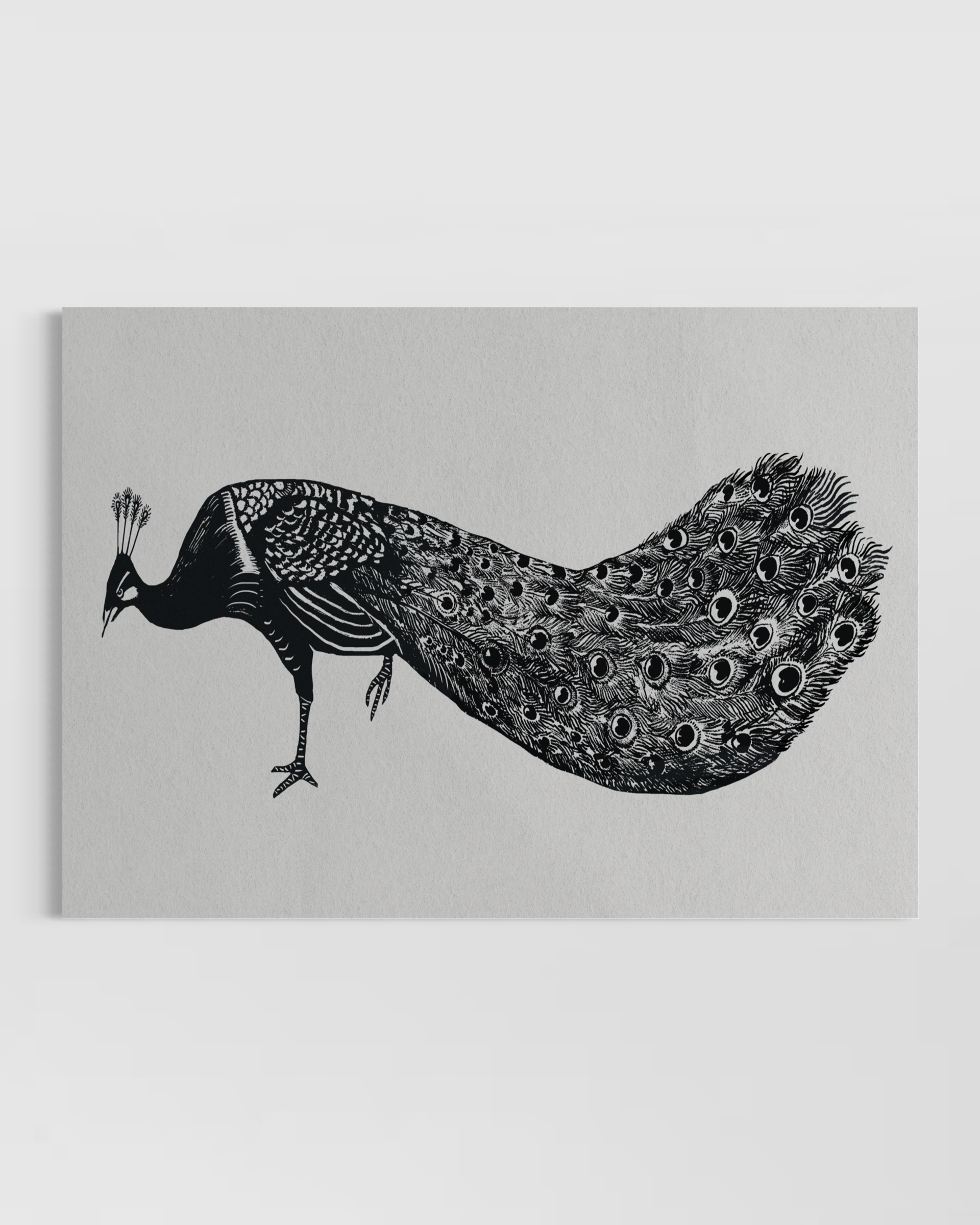 Peacock Poster