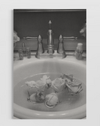 Moda & Lifestyle No.29 Poster