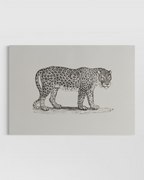 The Tiger Poster