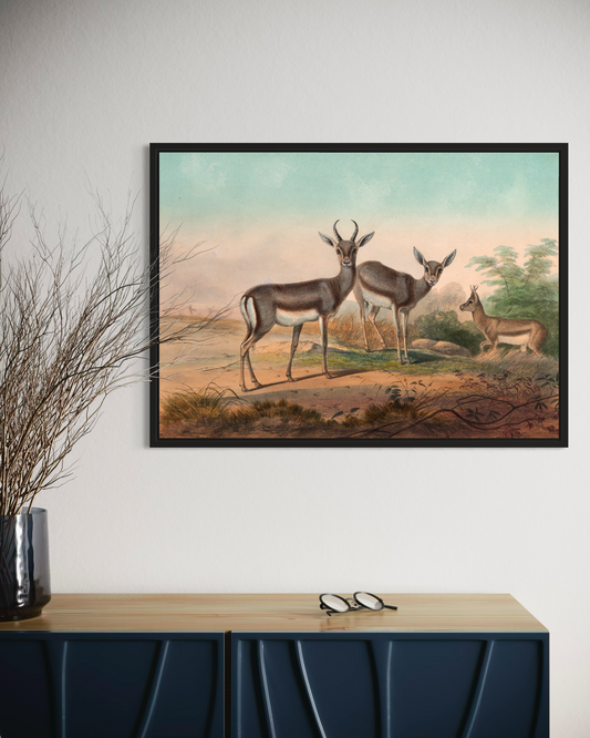 Deers Poster