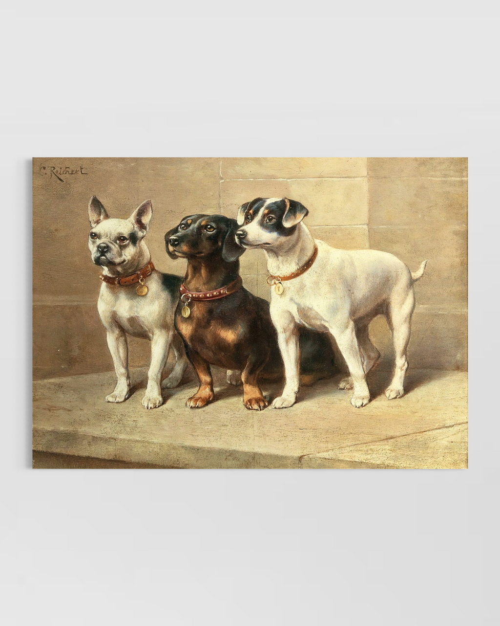 Dogs Poster