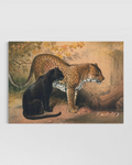 Leopard & Jaguar Poster