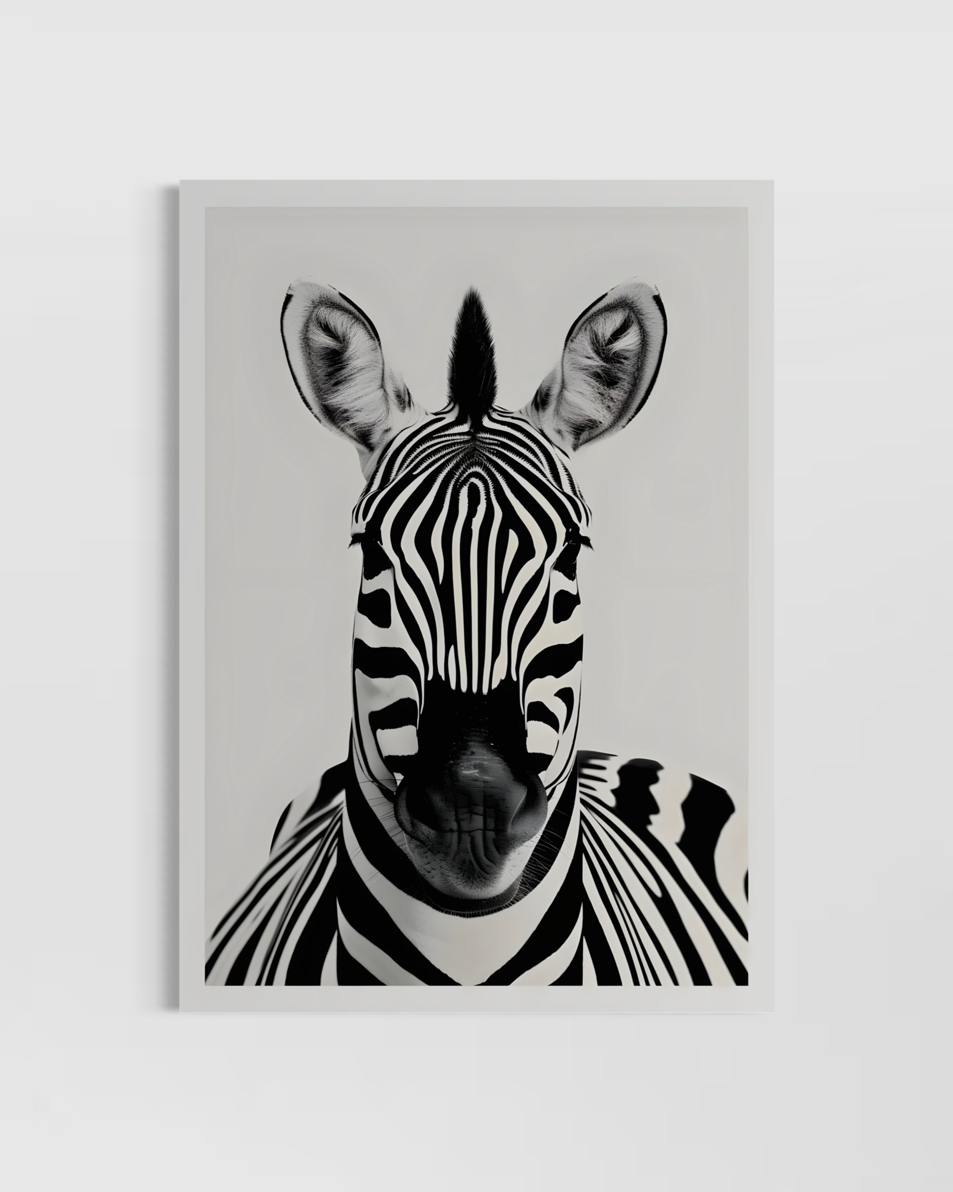 Zebra Poster