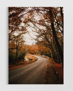 Doğa & Manzara 3'lü Poster Seti