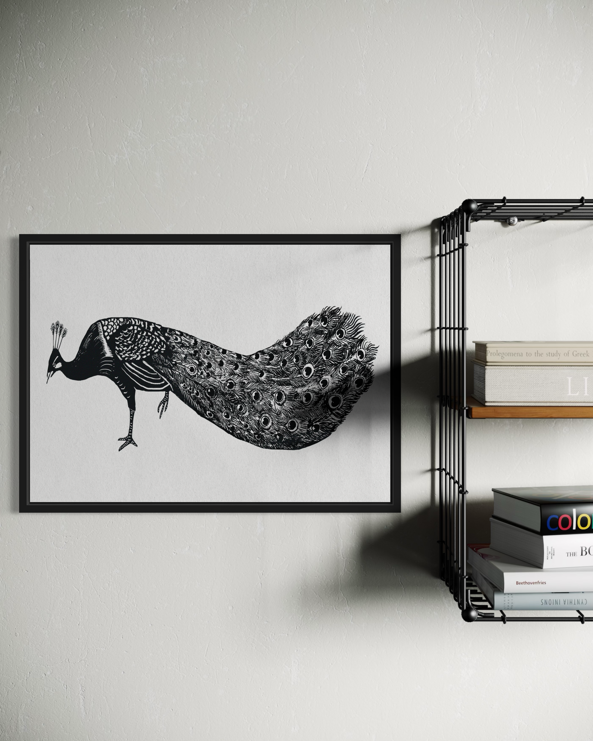 Peacock Poster