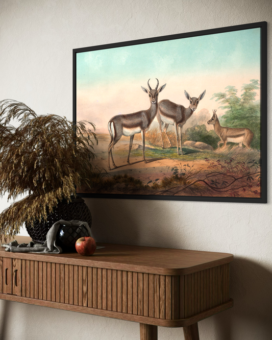 Deers Poster
