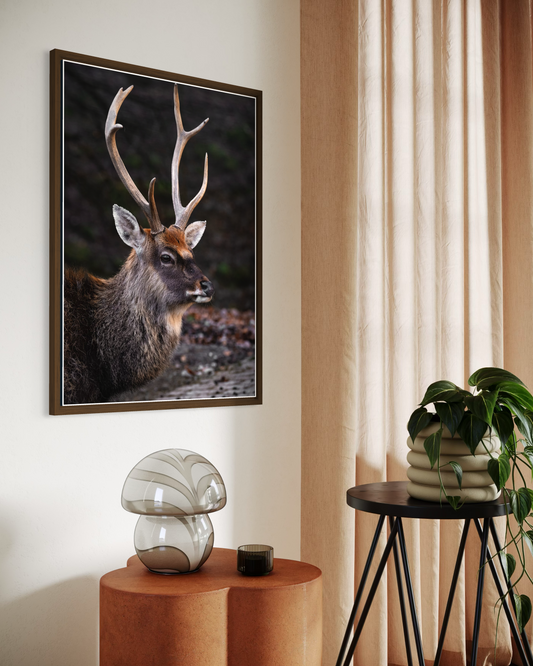 Rustic Farmhouse No.9 Poster