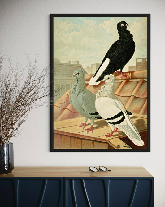 Birds Poster