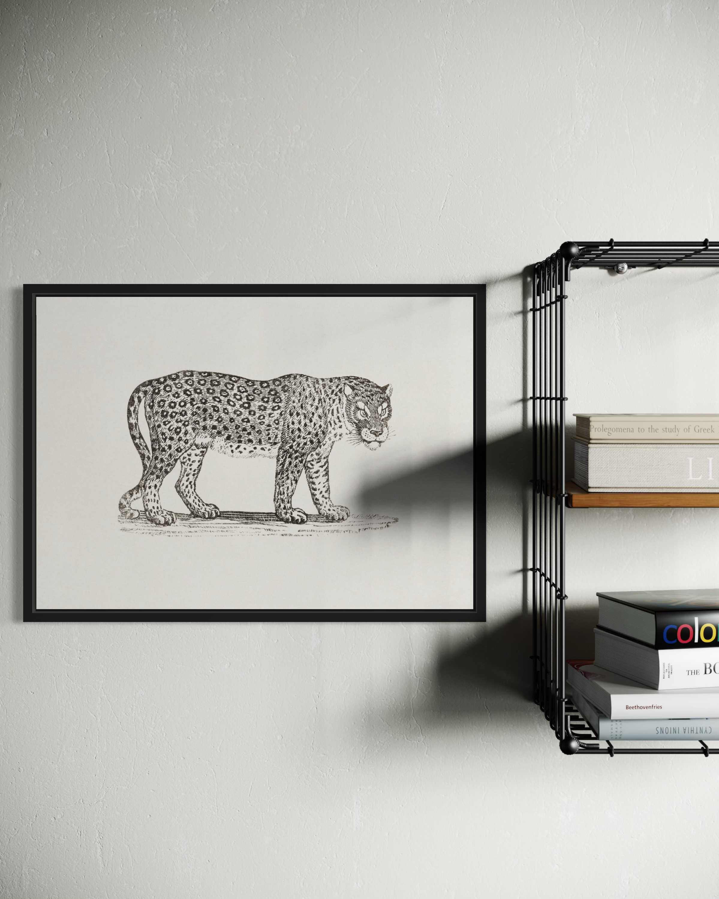 The Tiger Poster