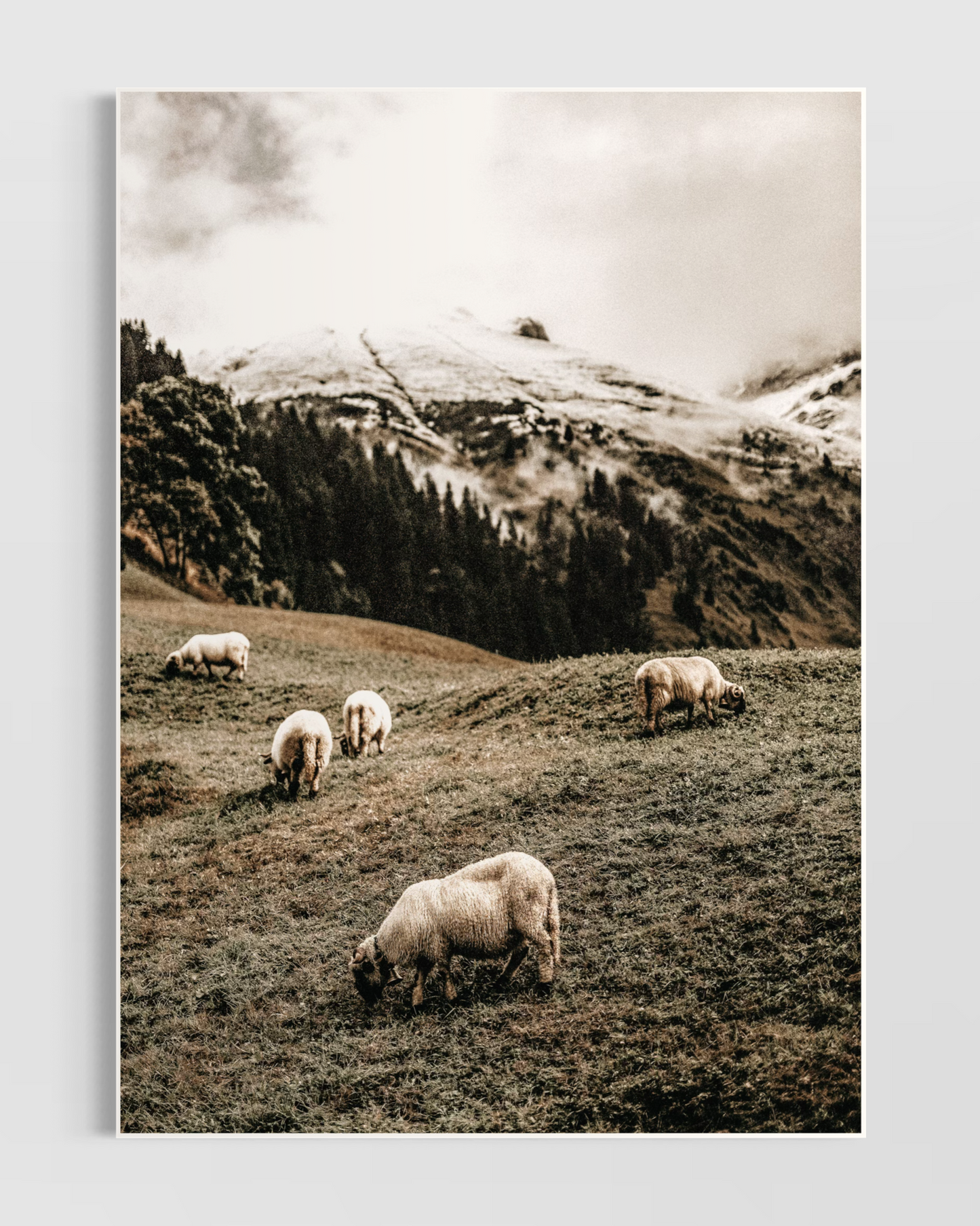 Rustic Farmhouse No.8 Poster