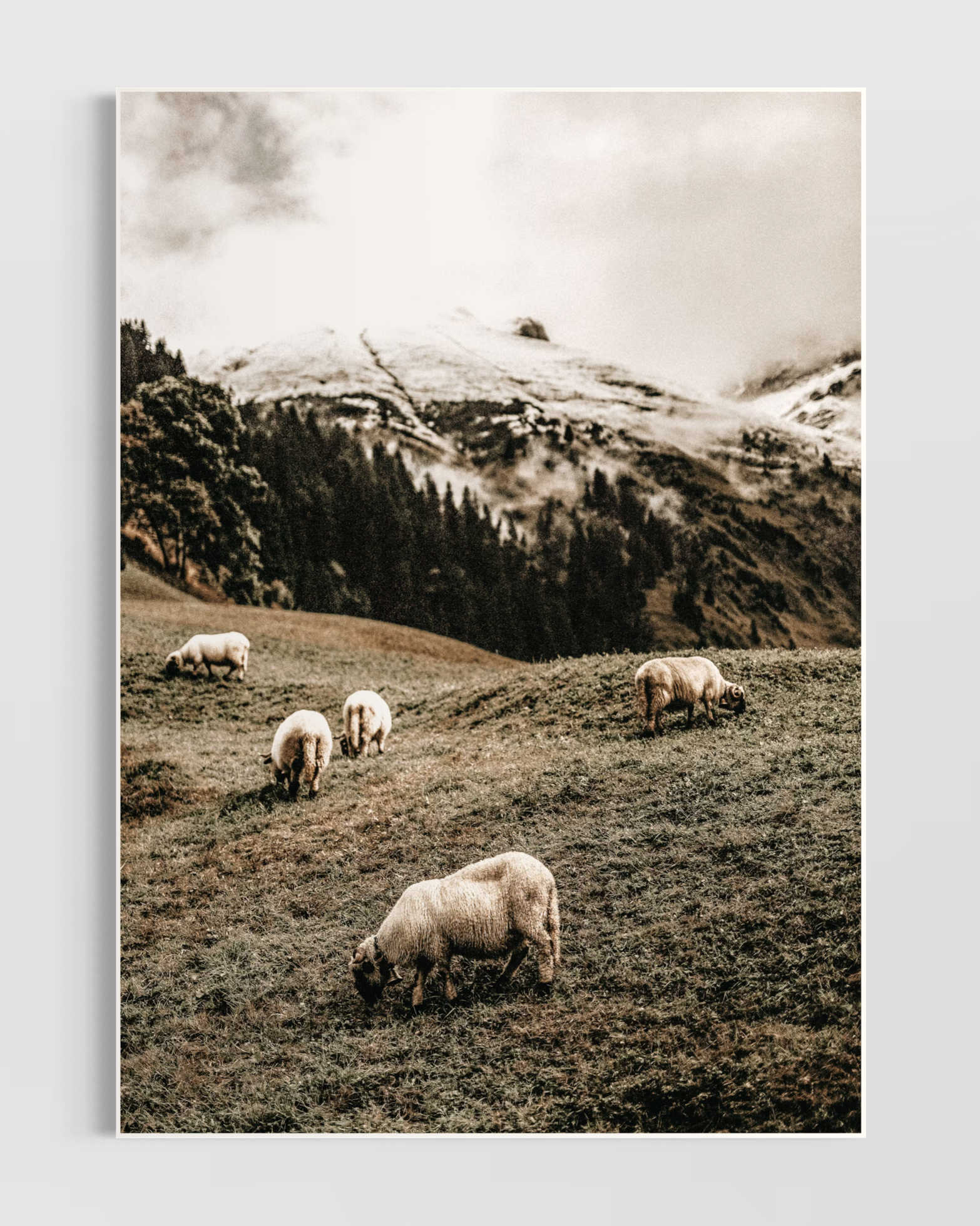 Rustic Farmhouse No.8 Poster