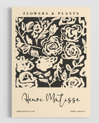 Matisse Flowers & Plants Poster