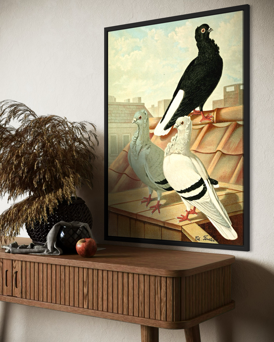 Birds Poster